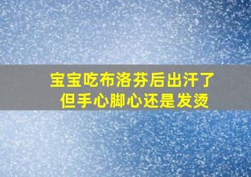 宝宝吃布洛芬后出汗了 但手心脚心还是发烫